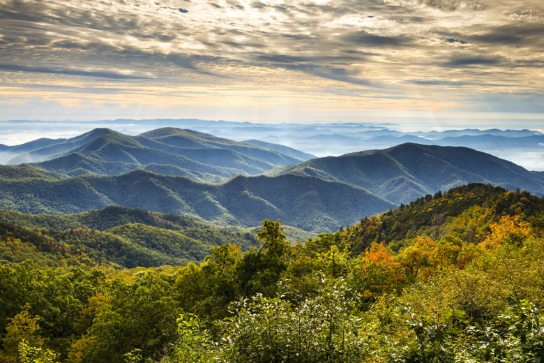 The Green Valley in Winston Salem