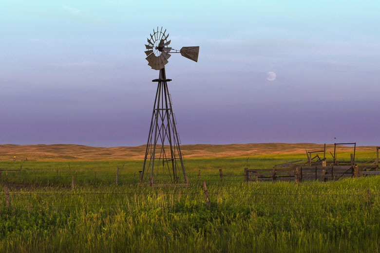 Field in Nebraska