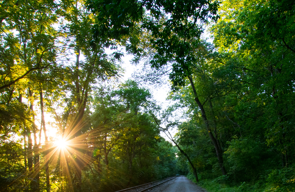 rail trail