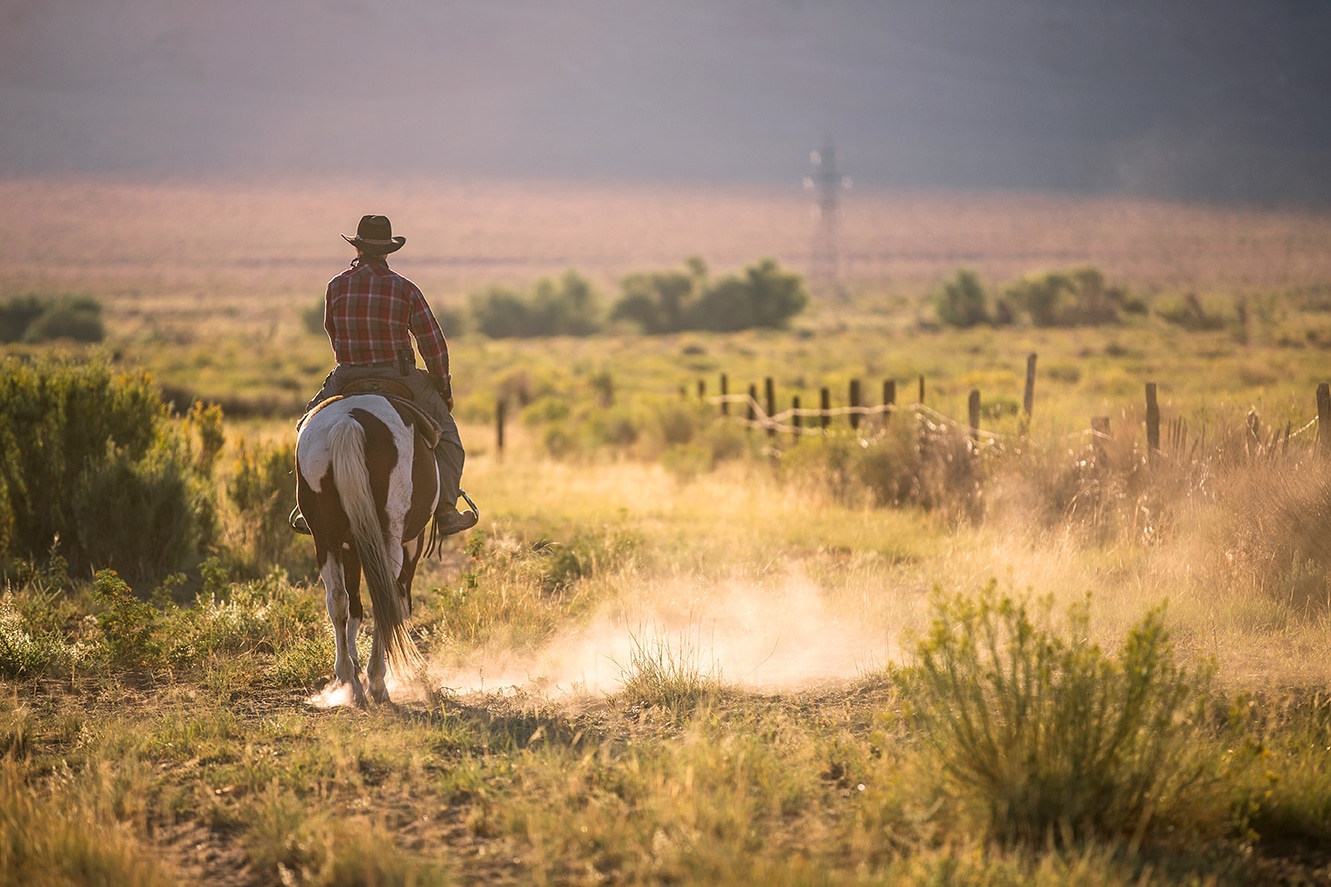 Cowboy riding a horse in Texas